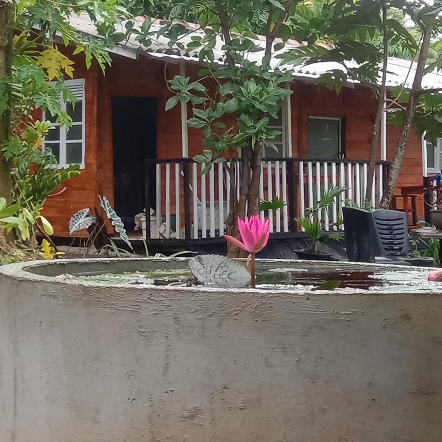 My House Ahangama Buitenkant foto