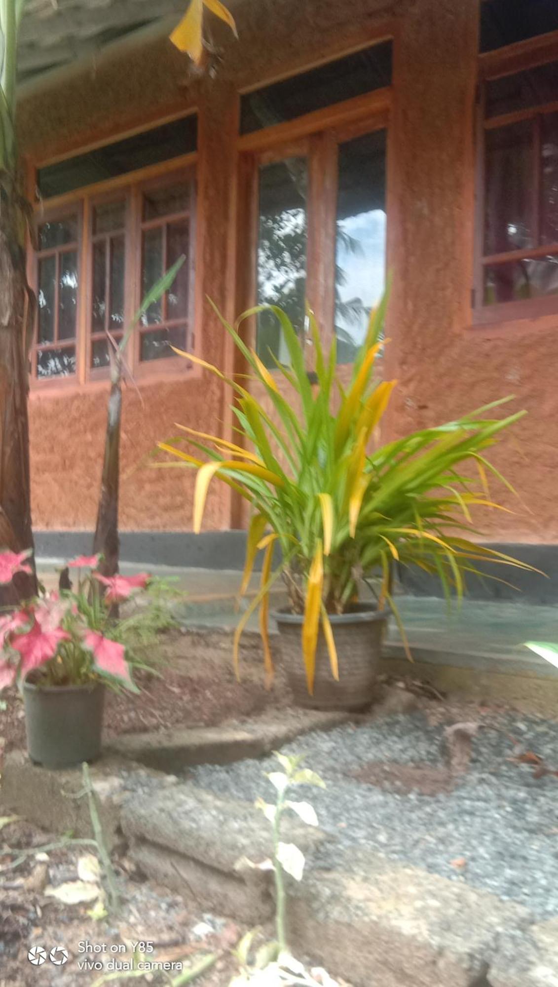My House Ahangama Kamer foto