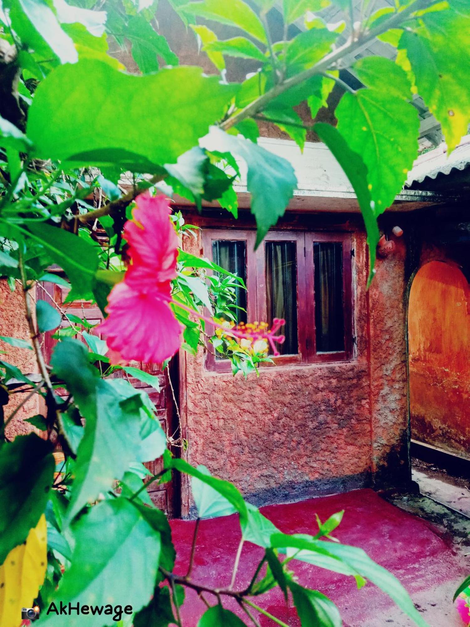 My House Ahangama Kamer foto